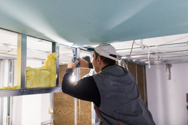 Best Commercial Insulation in Dumont, NJ