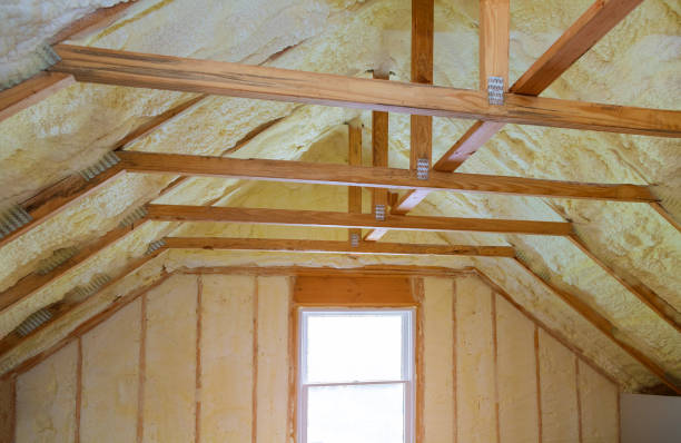 Best Geographic-Specific Insulation Services in Dumont, NJ