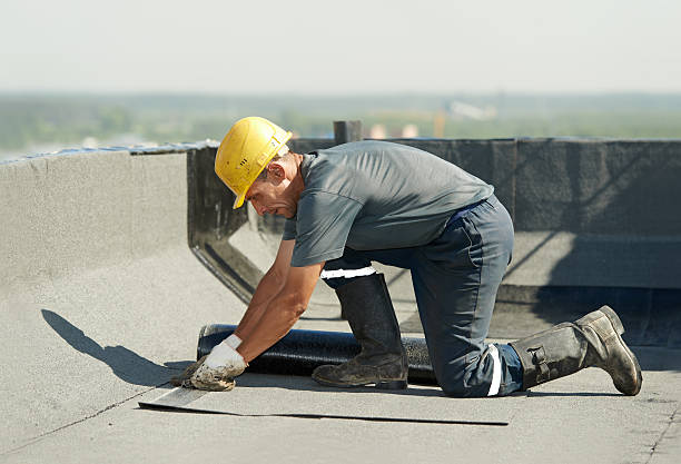 Best Specialized Insulation Services in Dumont, NJ